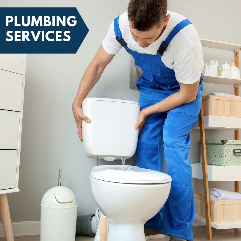 Plumbing Company in Island Lake, IL